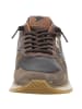 Cetti Sneaker Low in braun