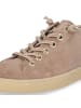 Paul Green Sneaker in Braun
