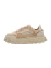 Apple of Eden Sneaker Low in Beige