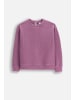 Coccodrillo Pullover-Sweatshirt in violett