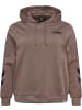 Hummel Hoodie in Silber