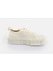 Buffalo Madison Sneaker in Cream