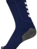 Sportsocken "Hmlpro Training Socks Low" in Blau