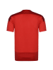 Puma Trainingsshirt teamGoal 23 in rot / dunkelrot