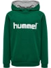 Hummel Baumwoll-Hoodie Hmlgo Kids Cotton Logo Hoodie in EVERGREEN