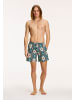 SHIWI Shiwi Stretch Swimshort in green