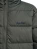 Hummel Reißverschluss Jacke Hmljr Lightweight Kinder in CASTOR GRAY