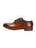 Bugatti Business Schnürschuhe in Braun