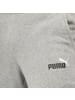 Puma Jogginghose Ess 2 Col Logo Pants in grau
