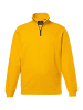 Boston Park Sweatshirt in curry