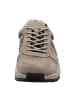 Camel Active Sportliche Schnürschuhe in Grau