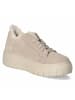 Gabor Low Sneaker in beige