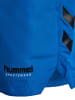 Hummel Badehose "Ned Swim Shorts" in Blau