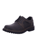 Josef Seibel Schnürschuhe Halbschuh in Braun