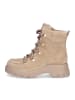 Paul Green Schnürboot in Beige