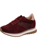 Gabor Sneaker Low in bordeaux