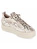 Paul Green Schnürhalbschuh in beige