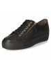 Paul Green Schnürhalbschuh in schwarz