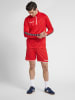 Hummel Halbreißverschluss Jacke Hmlauthentic Herren in TRUE RED