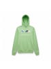 Puma Hoodie BMW MMS ESS in Grün