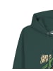 wat? Apparel Sweatshirt T-Rex Fahrrad in Glazed Green
