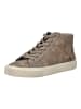 Geox Sneaker in Taupe