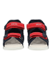 Geox Sandalen in Navy/Rot