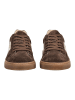 Nero Giardini Sneaker in Dunkelbraun