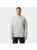 Helly Hansen Pullover "Evo Sweatshirt" in Grau