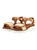 ara Sandalen in Cognac