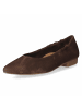 Paul Green Ballerinas in braun