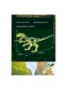Reobrix WOMA Velociraptor Dinosaurier Klemmbausteine