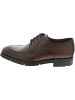 LLOYD Business Schuh Braun