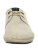 Pepe Jeans Schnürschuhe in grau