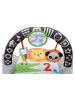 Fisher-Price Spieldecke 2 in 1 Safari in Mehrfarbig ab 0 Monate
