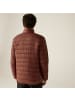 Regatta Jacke Marizion Baffle in Braun