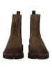Geox Stiefelette NORIZE Braun