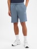 The North Face Sweatshorts in grau