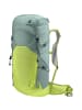 Deuter Wander-Rucksack Speed Lite 30 in Zitrone