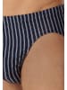 Schiesser Mini Slip / Unterhose 95/5 Essentials Cotton in Dunkelblau