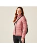 Regatta Übergangsjacke / Steppjacke Marizion in Rosa