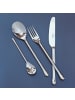 Villeroy & Boch 6er Set Tafelmesser Udine in Silber 238 mm in silber