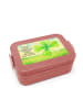 Mr. & Mrs. Panda MEPAL Bentobox Blume Kleeblatt Design mit Spruch in Rot Pastell