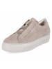 Paul Green Schnürhalbschuh in taupe