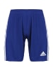 adidas Performance Trainingsshorts Squadra 21 in blau / weiß