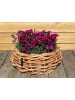 A2Living Rattan Korb Schale 2er Set 36 und 54 cm