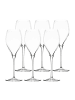 Stölzle 6er Set Champagnergläser Prestige in 345 ml in transparent