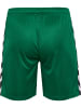Hummel Kurze Hose Playful Shorts Erwachsene in EVERGREEN