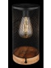 Globo lighting Solarleuchte "SOLARLEUCHTE HOLZ NATUR, 1XLED" in brown