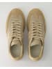 Zahira Sportliche Schnürschuhe in Beige